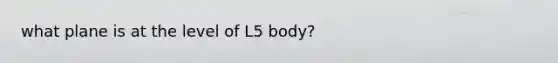 what plane is at the level of L5 body?