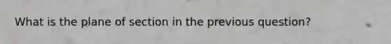 What is the plane of section in the previous question?