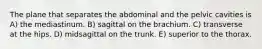 The plane that separates the abdominal and the pelvic cavities is A) the mediastinum. B) sagittal on the brachium. C) transverse at the hips. D) midsagittal on the trunk. E) superior to the thorax.