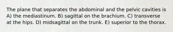 The plane that separates the abdominal and the pelvic cavities is A) the mediastinum. B) sagittal on the brachium. C) transverse at the hips. D) midsagittal on the trunk. E) superior to the thorax.