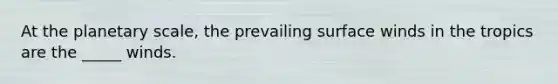 At the planetary scale, the prevailing surface winds in the tropics are the _____ winds.