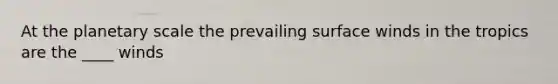 At the planetary scale the prevailing surface winds in the tropics are the ____ winds