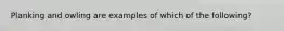 Planking and owling are examples of which of the following?