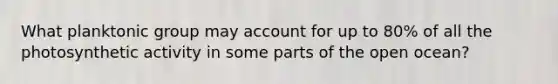 What planktonic group may account for up to 80% of all the photosynthetic activity in some parts of the open ocean?