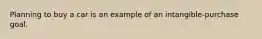 Planning to buy a car is an example of an intangible-purchase goal.