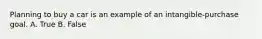 Planning to buy a car is an example of an intangible-purchase goal. A. True B. False