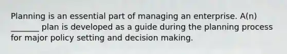 Planning is an essential part of managing an enterprise. A(n) _______ plan is developed as a guide during the planning process for major policy setting and decision making.