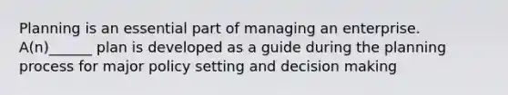 Planning is an essential part of managing an enterprise. A(n)______ plan is developed as a guide during the planning process for major policy setting and decision making