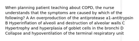 When planning patient teaching about COPD, the nurse understands that the symptoms are caused by which of the following? A An overproduction of the antiprotease a1-antitrypsin B Hyperinflation of alveoli and destruction of alveolar walls C Hypertrophy and hyperplasia of goblet cells in the bronchi D Collapse and hypoventilation of the terminal respiratory unit