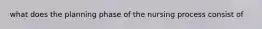 what does the planning phase of the nursing process consist of