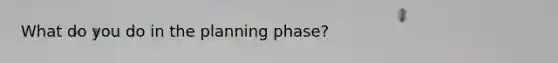 What do you do in the planning phase?