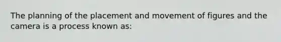 The planning of the placement and movement of figures and the camera is a process known as: