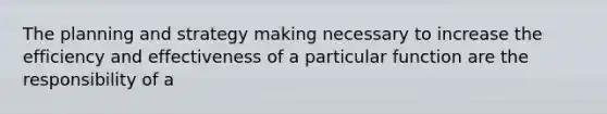 The planning and strategy making necessary to increase the efficiency and effectiveness of a particular function are the responsibility of a