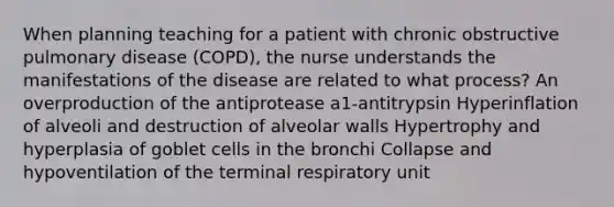 When planning teaching for a patient with chronic obstructive pulmonary disease (COPD), the nurse understands the manifestations of the disease are related to what process? An overproduction of the antiprotease a1-antitrypsin Hyperinflation of alveoli and destruction of alveolar walls Hypertrophy and hyperplasia of goblet cells in the bronchi Collapse and hypoventilation of the terminal respiratory unit