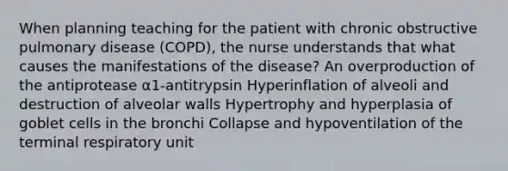 When planning teaching for the patient with chronic obstructive pulmonary disease (COPD), the nurse understands that what causes the manifestations of the disease? An overproduction of the antiprotease α1-antitrypsin Hyperinflation of alveoli and destruction of alveolar walls Hypertrophy and hyperplasia of goblet cells in the bronchi Collapse and hypoventilation of the terminal respiratory unit