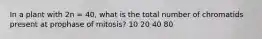 In a plant with 2n = 40, what is the total number of chromatids present at prophase of mitosis? 10 20 40 80