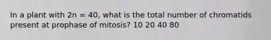 In a plant with 2n = 40, what is the total number of chromatids present at prophase of mitosis? 10 20 40 80