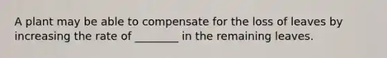 A plant may be able to compensate for the loss of leaves by increasing the rate of ________ in the remaining leaves.