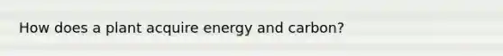 How does a plant acquire energy and carbon?