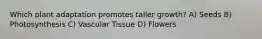 Which plant adaptation promotes taller growth? A) Seeds B) Photosynthesis C) Vascular Tissue D) Flowers