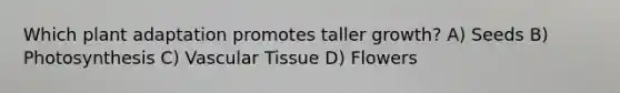 Which plant adaptation promotes taller growth? A) Seeds B) Photosynthesis C) Vascular Tissue D) Flowers