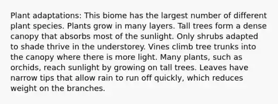 Plant adaptations: This biome has the largest number of different plant species. Plants grow in many layers. Tall trees form a dense canopy that absorbs most of the sunlight. Only shrubs adapted to shade thrive in the understorey. Vines climb tree trunks into the canopy where there is more light. Many plants, such as orchids, reach sunlight by growing on tall trees. Leaves have narrow tips that allow rain to run off quickly, which reduces weight on the branches.