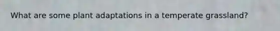 What are some plant adaptations in a temperate grassland?