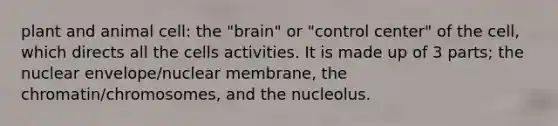 plant and animal cell: the "brain" or "control center" of the cell, which directs all the cells activities. It is made up of 3 parts; the nuclear envelope/nuclear membrane, the chromatin/chromosomes, and the nucleolus.