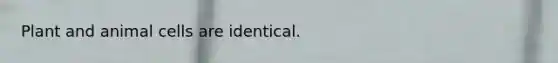 Plant and animal cells are identical.