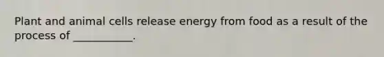 Plant and animal cells release energy from food as a result of the process of ___________.