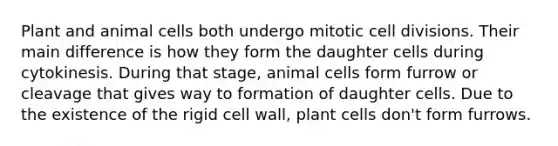 Plant and animal cells both undergo mitotic cell divisions. Their main difference is how they form the daughter cells during cytokinesis. During that stage, animal cells form furrow or cleavage that gives way to formation of daughter cells. Due to the existence of the rigid cell wall, plant cells don't form furrows.