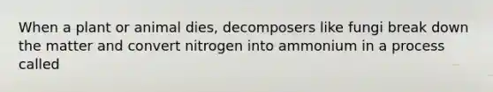 When a plant or animal dies, decomposers like fungi break down the matter and convert nitrogen into ammonium in a process called