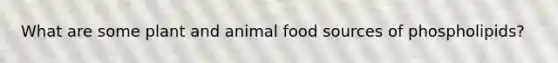 What are some plant and animal food sources of phospholipids?