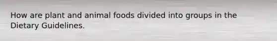 How are plant and animal foods divided into groups in the Dietary Guidelines.