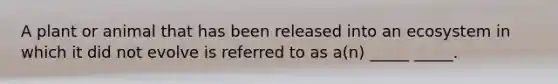 A plant or animal that has been released into an ecosystem in which it did not evolve is referred to as a(n) _____ _____.