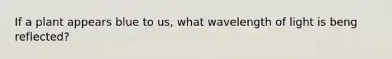 If a plant appears blue to us, what wavelength of light is beng reflected?