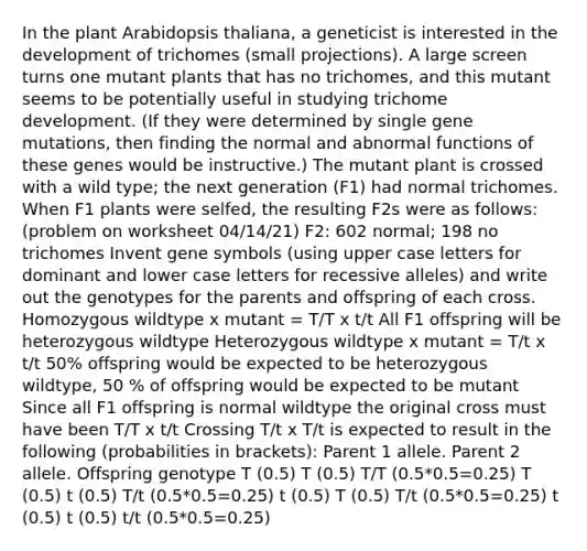 In the plant Arabidopsis thaliana, a geneticist is interested in the development of trichomes (small projections). A large screen turns one mutant plants that has no trichomes, and this mutant seems to be potentially useful in studying trichome development. (If they were determined by single gene mutations, then finding the normal and abnormal functions of these genes would be instructive.) The mutant plant is crossed with a wild type; the next generation (F1) had normal trichomes. When F1 plants were selfed, the resulting F2s were as follows: (problem on worksheet 04/14/21) F2: 602 normal; 198 no trichomes Invent gene symbols (using upper case letters for dominant and lower case letters for recessive alleles) and write out the genotypes for the parents and offspring of each cross. Homozygous wildtype x mutant = T/T x t/t All F1 offspring will be heterozygous wildtype Heterozygous wildtype x mutant = T/t x t/t 50% offspring would be expected to be heterozygous wildtype, 50 % of offspring would be expected to be mutant Since all F1 offspring is normal wildtype the original cross must have been T/T x t/t Crossing T/t x T/t is expected to result in the following (probabilities in brackets): Parent 1 allele. Parent 2 allele. Offspring genotype T (0.5) T (0.5) T/T (0.5*0.5=0.25) T (0.5) t (0.5) T/t (0.5*0.5=0.25) t (0.5) T (0.5) T/t (0.5*0.5=0.25) t (0.5) t (0.5) t/t (0.5*0.5=0.25)