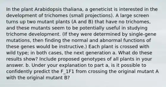 In the plant Arabidopsis thaliana, a geneticist is interested in the development of trichomes (small projections). A large screen turns up two mutant plants (A and B) that have no trichomes, and these mutants seem to be potentially useful in studying trichome development. (If they were determined by single-gene mutations, then finding the normal and abnormal functions of these genes would be instructive.) Each plant is crossed with wild type; in both cases, the next generation a. What do these results show? Include proposed genotypes of all plants in your answer. b. Under your explanation to part a, is it possible to confidently predict the F_1F1​ from crossing the original mutant A with the original mutant B?