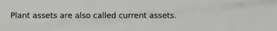 Plant assets are also called current assets.