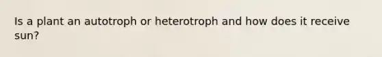 Is a plant an autotroph or heterotroph and how does it receive sun?