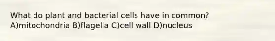 What do plant and bacterial cells have in common? A)mitochondria B)flagella C)cell wall D)nucleus