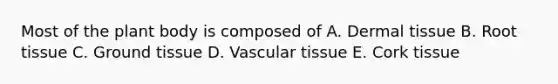 Most of the plant body is composed of A. <a href='https://www.questionai.com/knowledge/kRKdINDJId-dermal-tissue' class='anchor-knowledge'>dermal tissue</a> B. Root tissue C. <a href='https://www.questionai.com/knowledge/kb0kKBaH0H-ground-tissue' class='anchor-knowledge'>ground tissue</a> D. <a href='https://www.questionai.com/knowledge/k1HVFq17mo-vascular-tissue' class='anchor-knowledge'>vascular tissue</a> E. Cork tissue