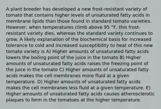 A plant breeder has developed a new frost-resistant variety of tomato that contains higher levels of unsaturated fatty acids in membrane lipids than those found in standard tomato varieties. However, when temperatures climb above 95 °F, this frost-resistant variety dies, whereas the standard variety continues to grow. A likely explanation of the biochemical basis for increased tolerance to cold and increased susceptibility to heat of this new tomato variety is A) Higher amounts of unsaturated fatty acids lowers the boiling point of the juice in the tomato B) Higher amounts of unsaturated fatty acids raises the freezing point of the juice in the tomato C) Higher amounts of unsaturated fatty acids makes the cell membranes more fluid at a given temperature. D) Higher amounts of unsaturated fatty acids makes the cell membranes less fluid at a given temperature. E) Higher amounts of unsaturated fatty acids causes atherosclerotic plaques to form in the tomatoes at the higher temperature.