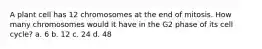 A plant cell has 12 chromosomes at the end of mitosis. How many chromosomes would it have in the G2 phase of its cell cycle? a. 6 b. 12 c. 24 d. 48