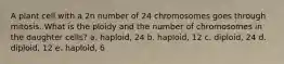 A plant cell with a 2n number of 24 chromosomes goes through mitosis. What is the ploidy and the number of chromosomes in the daughter cells? a. haploid, 24 b. haploid, 12 c. diploid, 24 d. diploid, 12 e. haploid, 6