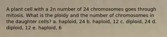 A plant cell with a 2n number of 24 chromosomes goes through mitosis. What is the ploidy and the number of chromosomes in the daughter cells? a. haploid, 24 b. haploid, 12 c. diploid, 24 d. diploid, 12 e. haploid, 6