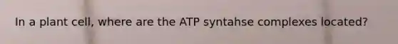 In a plant cell, where are the ATP syntahse complexes located?