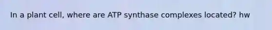 In a plant cell, where are ATP synthase complexes located? hw