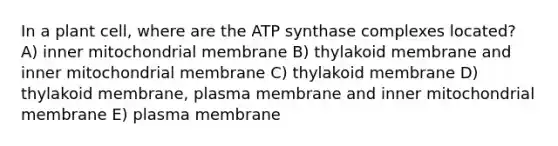 In a plant cell, where are the ATP synthase complexes located? A) inner mitochondrial membrane B) thylakoid membrane and inner mitochondrial membrane C) thylakoid membrane D) thylakoid membrane, plasma membrane and inner mitochondrial membrane E) plasma membrane