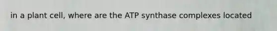 in a plant cell, where are the ATP synthase complexes located